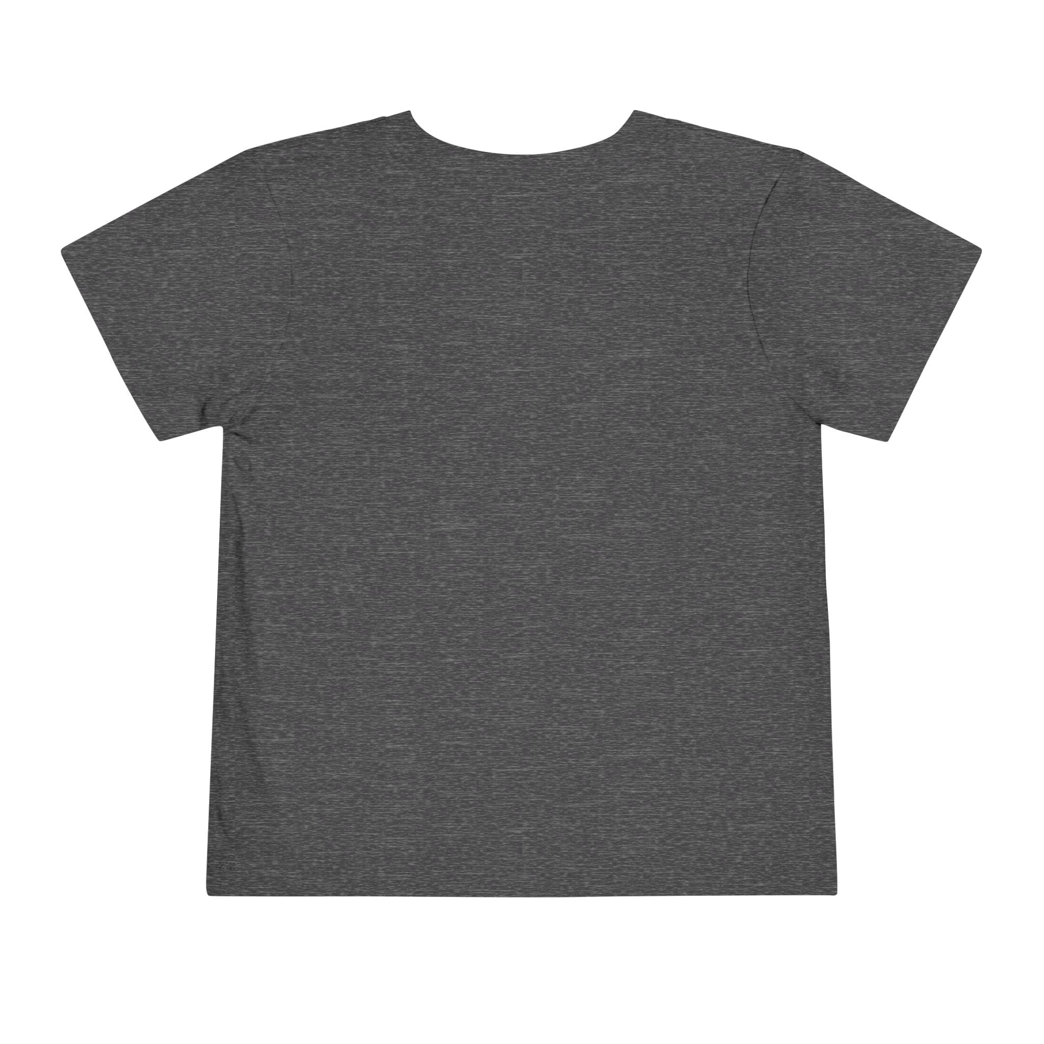 AMERICA 250 Toddler Graphic Tee