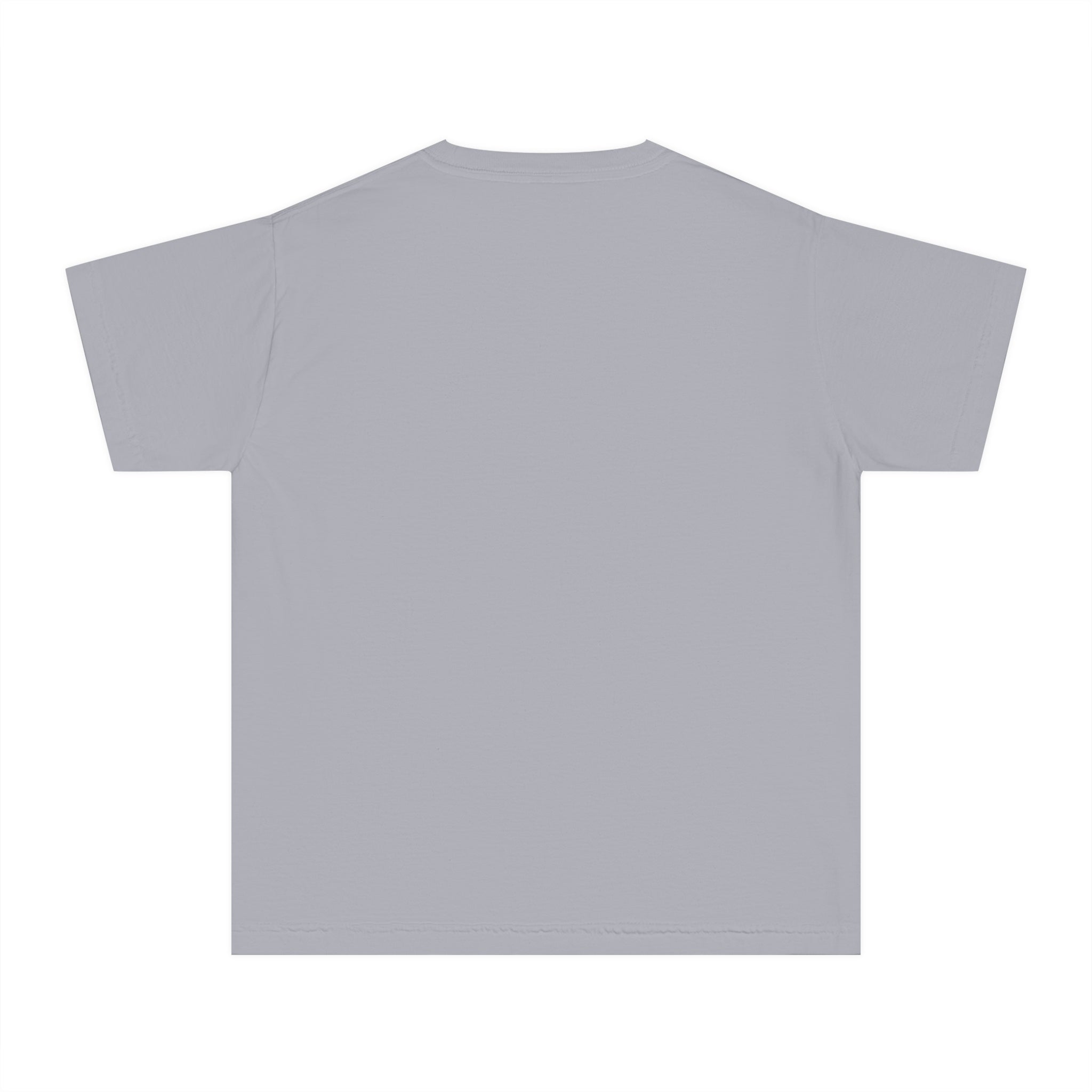 Youth Tee - Buffalo Stay Wild Graphic