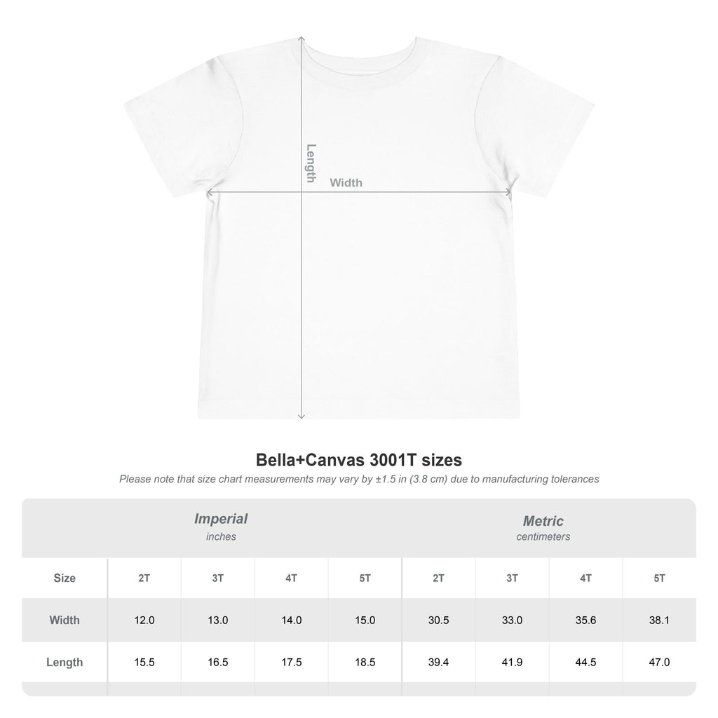 AMERICA Toddler Short Sleeve Tee - STARS