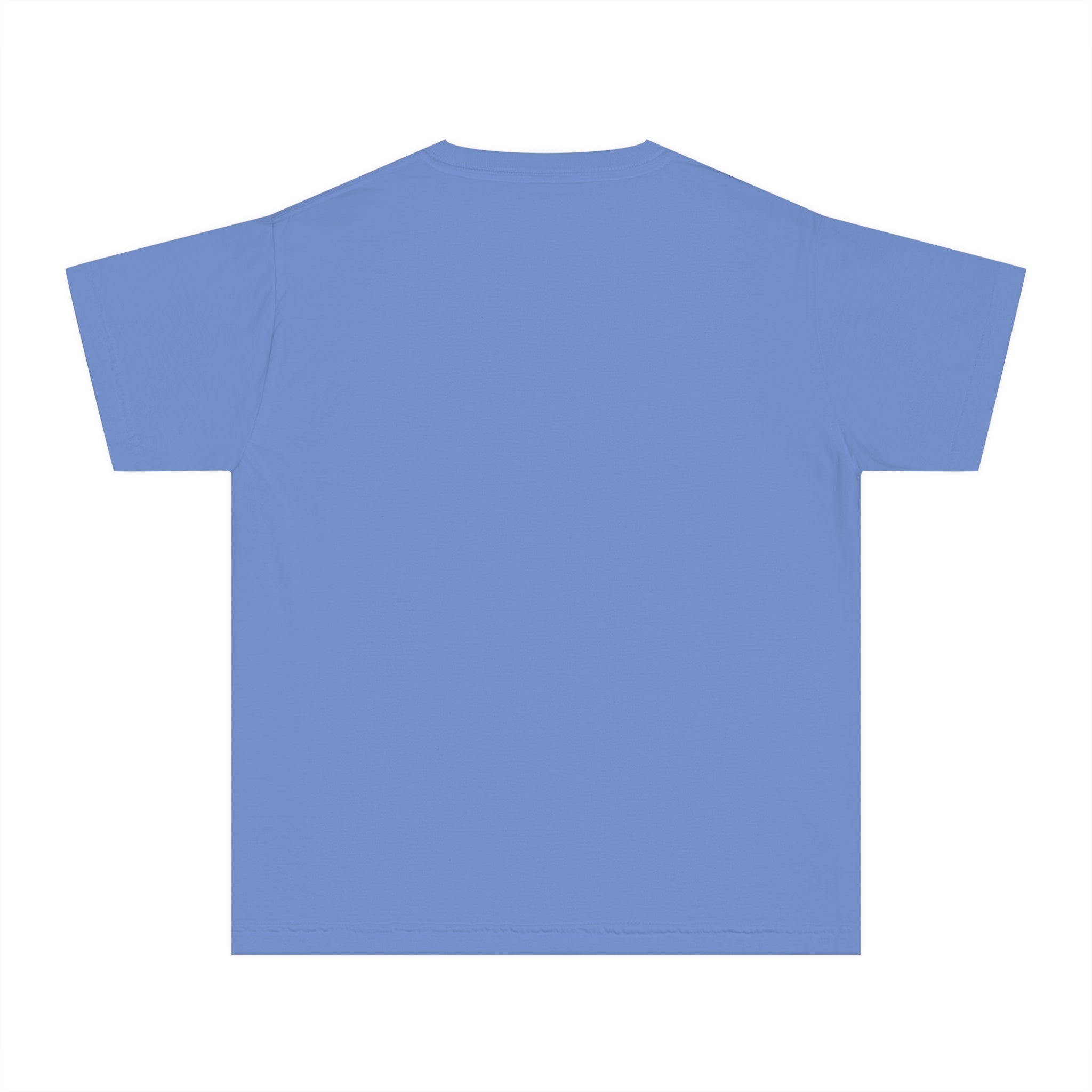 Youth Tee - Buffalo Stay Wild Graphic